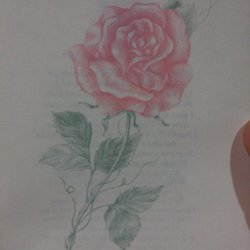 Calvary Chapel Academy - At services for sister in law's grandma