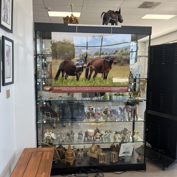 Donkey History Museum - Museums Near Me - Mesquite, Nevada Donkey History Museum - Museums Near Me - Mesquite, Nevada