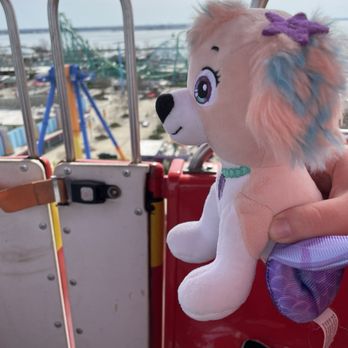 Cedar Point - Coral rose on the Giant Ferris Wheel - Amusement Parks Near Me - Sandusky, Ohio