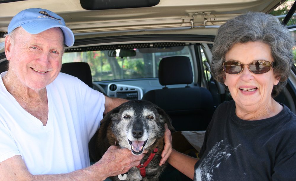 GAZEBO BOARDING KENNEL Updated September 2024 74 Oak Bend Dr