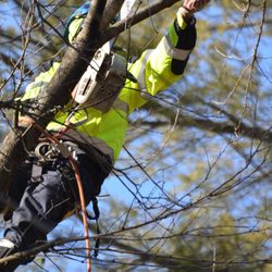 J & B Tree Services