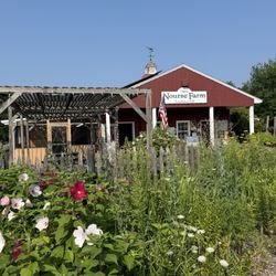 Nourse Farm - Farm
