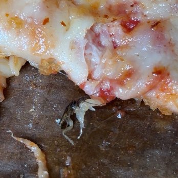 Leci's Italian Cafe - Roach - Italian Near Me - Jacksonville, Florida