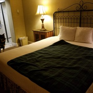 The Village Green 168 Photos 121 Reviews Hotels 725 Row