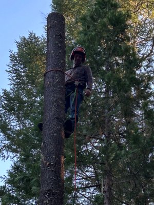 Our Mission: - Our Mission
At Tree Titans LLC, our mission is to provide top-notch tree removal and brush clearing services while maintaining the highest standards of honesty and integrity. We believe in accountability and strive to exceed our customers' expectations with every job we undertake. Our Mission: - Our Mission
At Tree Titans LLC, our mission is to provide top-notch tree removal and brush clearing services while maintaining the highest standards of honesty and integrity. We believe in accountability and strive to exceed our customers' expectations with every job we undertake.
