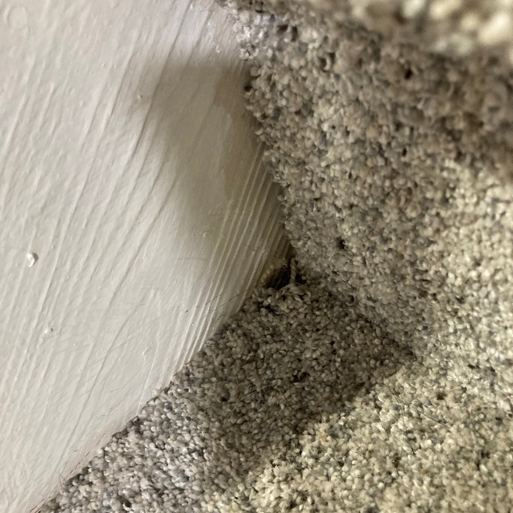 Carpet Decor - a close up of the corner of a wall - Carpeting Near Me - Ashburn, Virginia Carpet Decor - a close up of the corner of a wall - Carpeting Near Me - Ashburn, Virginia