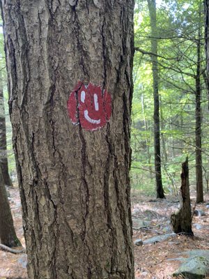 Monument Mountain Reservation by null