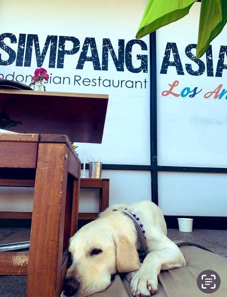 Simpang Asia