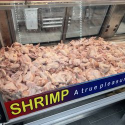 Fish Station - Wings Anyone?