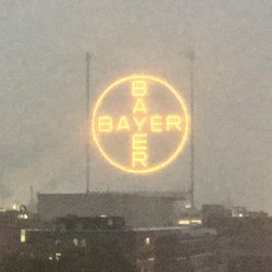 Bayer-Kreuz