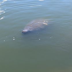 Space Coast River Tours