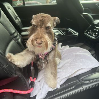 Bonneville Pet Trimming Studio - Pet Groomers Near Me - Bountiful, Utah