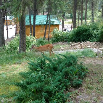 Riverfront Motel & Cabins - Hotels Near Me - Thompson Falls, Montana