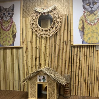Aloha Kitty Cafe - Inside the cafe. - Pet Adoption Near Me - Kailua, Hawaii