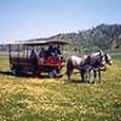 Lake County - Eleven Roses Ranch Wildflower Tour, Clearlake Oaks