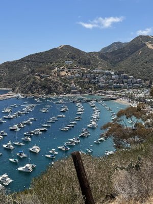 Catalina Island Conservancy Trailhead by null