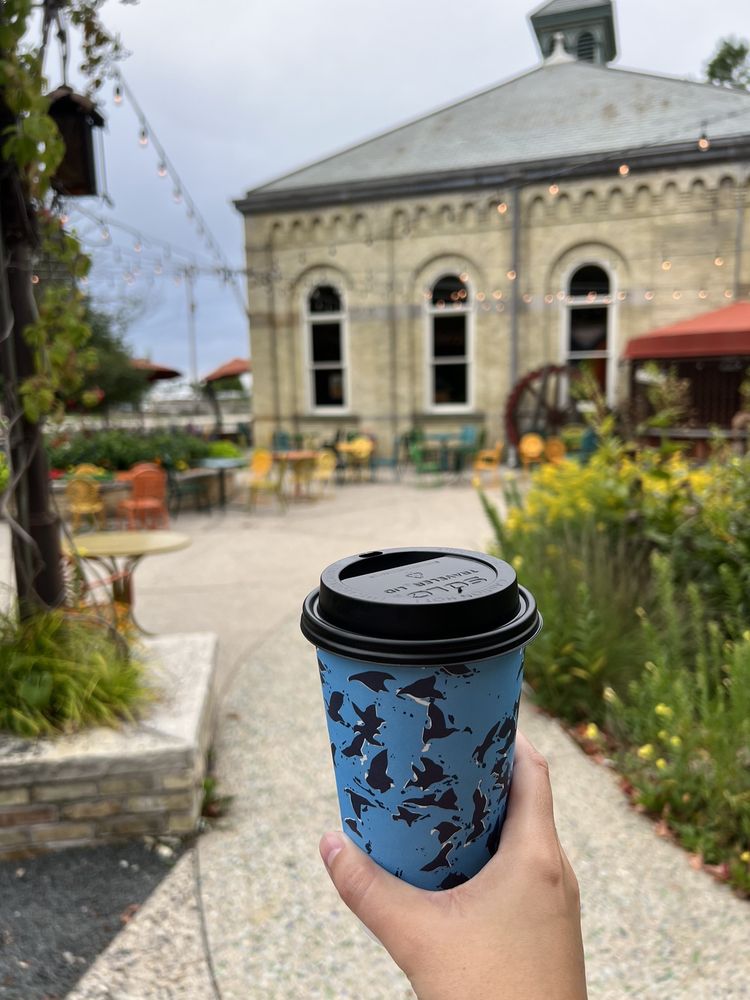 COLECTIVO LAKEFRONT 538 Photos & 483 Reviews 1701 N Lincoln