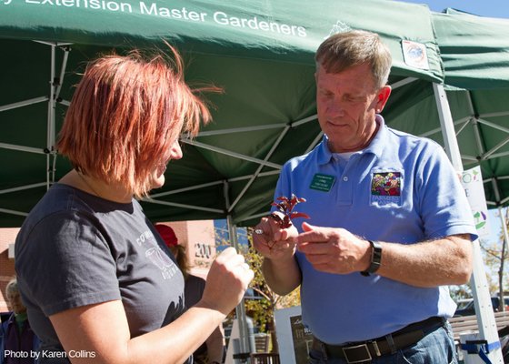 Larimer County Farmers' Market by null