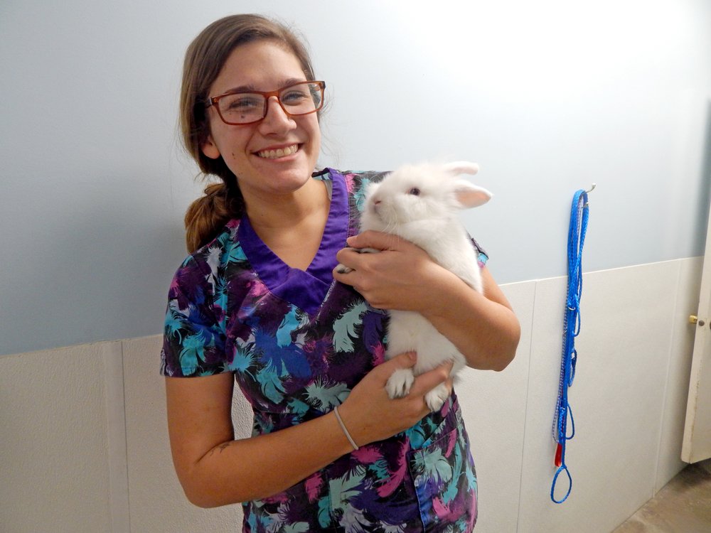 WENDELL VETERINARY CLINIC Updated August 2024 16 Photos 131 Route