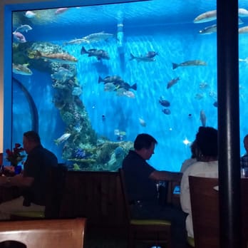 RumFish Grill - Seafood Near Me - St Pete Beach, Florida RumFish Grill - Seafood Near Me - St Pete Beach, Florida