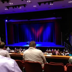 The Alban Arena - Watching Reginald Hunter