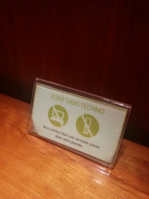 Camellia Sinensis | Boutique by null