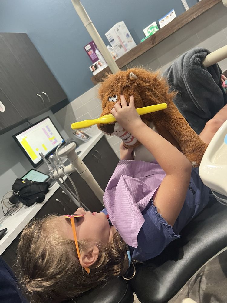 Watts Dental - patient advocate in Lithia, FL