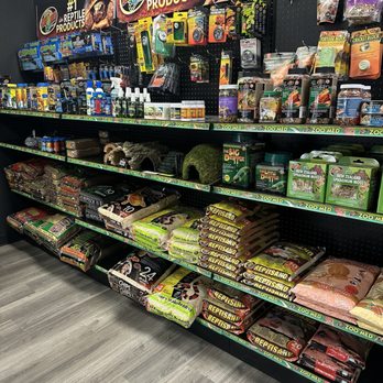 9th Island Reptiles - Reptile Shops Near Me - Las Vegas, Nevada 9th Island Reptiles - Reptile Shops Near Me - Las Vegas, Nevada