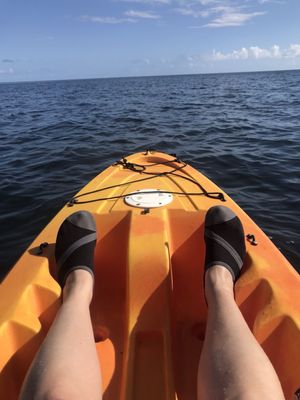 Kayak Rentals - Come Kayak through the canals or go out to the mangroves, Call now to start your adventure! Kayak Rentals - Come Kayak through the canals or go out to the mangroves, Call now to start your adventure!