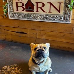 Pablo in front of our sign