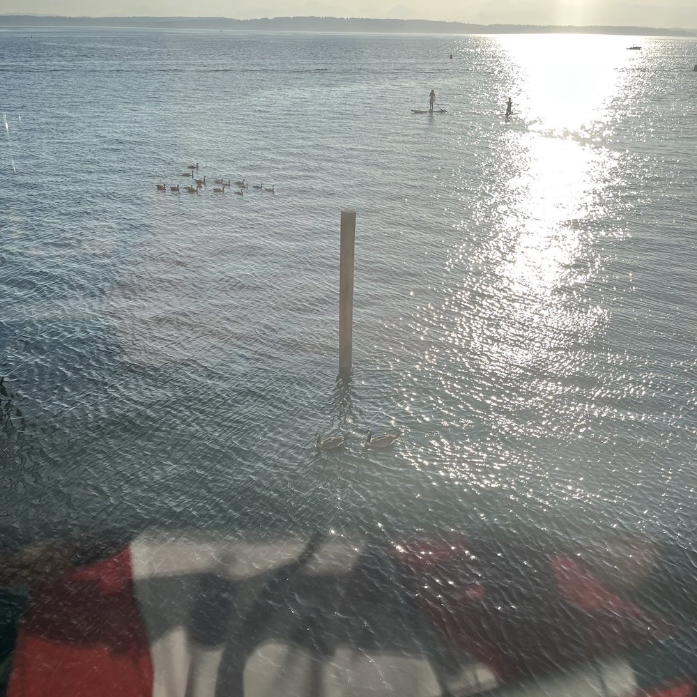 Ray's Café - View - Seafood Near Me - Seattle, Washington Ray's Café - View - Seafood Near Me - Seattle, Washington