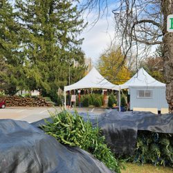 National Capital Optimist Club Christmas Trees