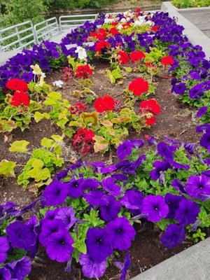 Golden Heart Plaza by null