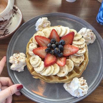 CFS Coffee - Yucca Waffle - Coffee & Tea Near Me - Oviedo, Florida CFS Coffee - Yucca Waffle - Coffee & Tea Near Me - Oviedo, Florida
