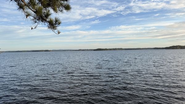 Dreher Island State Park by null