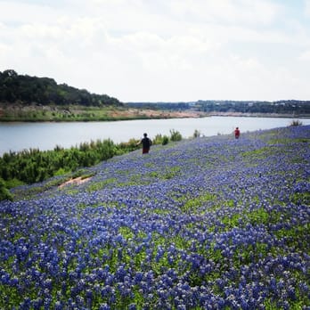 Muleshoe Bend Recreation Area - Parks Near Me - Spicewood, Texas Muleshoe Bend Recreation Area - Parks Near Me - Spicewood, Texas