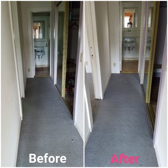 Thomas Cleaning - Pet hair can get everywhere. Don't stress Thomas Cleaning can handle the mess. Give us a call today! - Home Cleaning Near Me - Healdsburg, California Thomas Cleaning - Pet hair can get everywhere. Don't stress Thomas Cleaning can handle the mess. Give us a call today! - Home Cleaning Near Me - Healdsburg, California