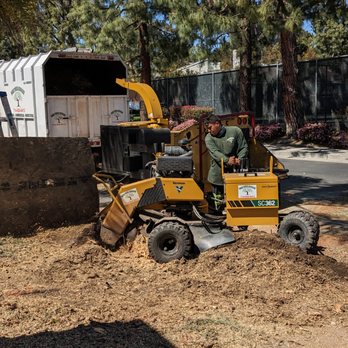 Paez Tree Service - Tree Services Near Me - Anaheim, California