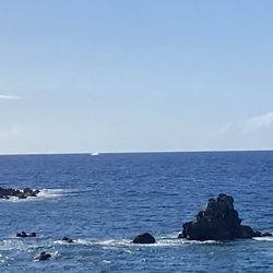 Mauna Lani Beach Club - Whale out near the horizon