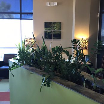 J Timothy Harlan, DPM - Podiatrists Near Me - Phoenix, Arizona J Timothy Harlan, DPM - Podiatrists Near Me - Phoenix, Arizona