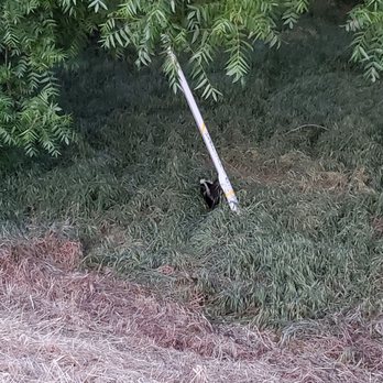 Coyote Creek Trail - Skunk - Hiking Near Me - Milpitas, California Coyote Creek Trail - Skunk - Hiking Near Me - Milpitas, California