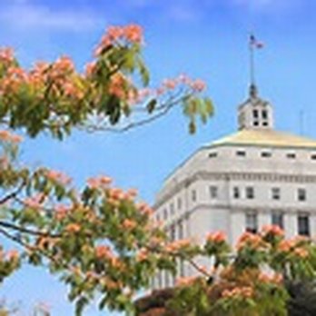 Real Estate Mediation Services - Alameda County Superior Court - Mediators Near Me Real Estate Mediation Services - Alameda County Superior Court - Mediators Near Me