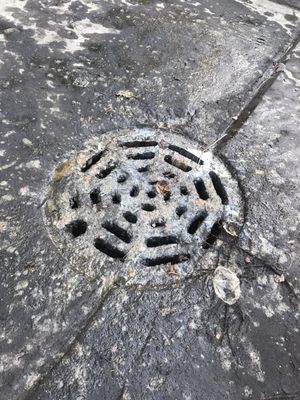 Iyanze Bar And Cafe by null