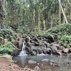 Hike