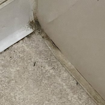 Motel 6 - The floor in the bathroom. This has not been cleaned in a LONG time. - Hotels Near Me - Saukville, Wisconsin Motel 6 - The floor in the bathroom. This has not been cleaned in a LONG time. - Hotels Near Me - Saukville, Wisconsin