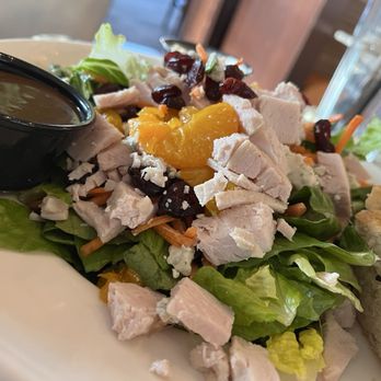 Arpeggio BYOB - Turkey N Blue Salad - Pizza Near Me - Spring House, Pennsylvania