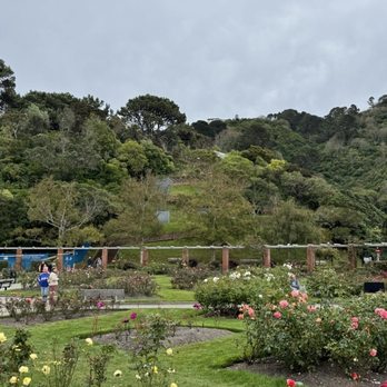 Wellington Botanical Gardens - Botanical Gardens Near Me - Wellington, WGN