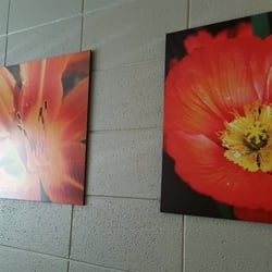 Utah Electrology - Pretty flower art. (The Yonic implications are not lost on me.)