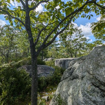Eales Preserve at Moosic Mountain - Stone henge - Hiking Near Me Eales Preserve at Moosic Mountain - Stone henge - Hiking Near Me