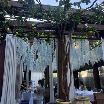 DOLCE RIVIERA - Updated August 2024 - 556 Photos & 443 Reviews - 2950 N